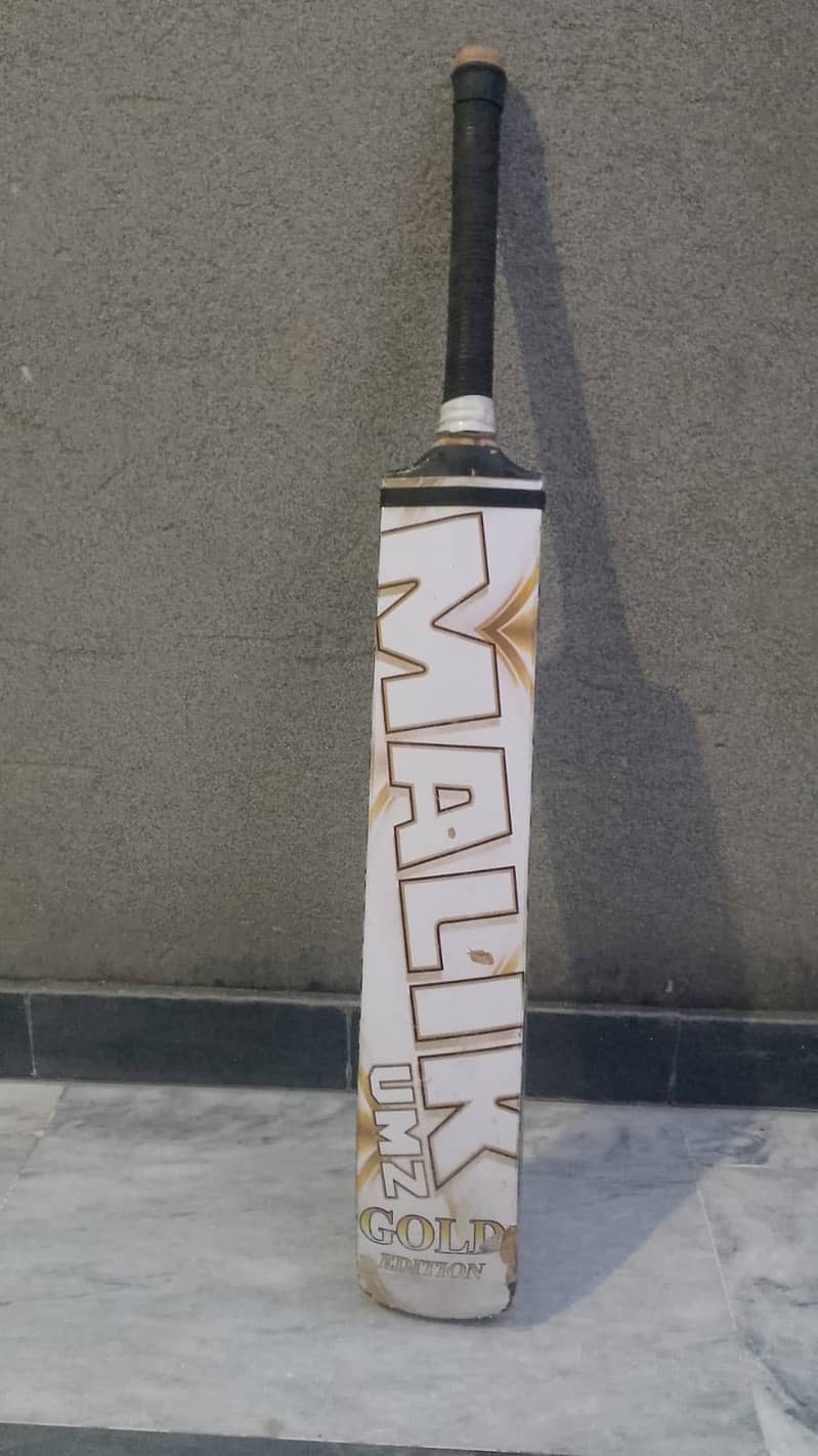 Cricket Bat 1