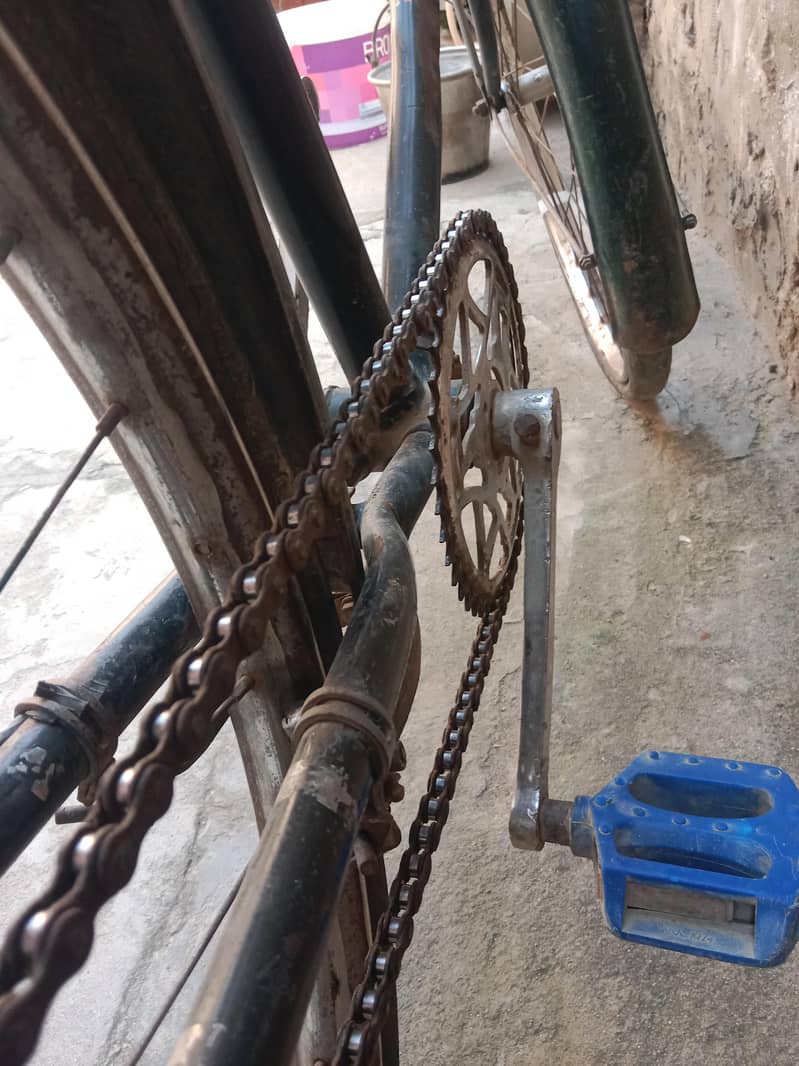 Sohrab Cycle 2
