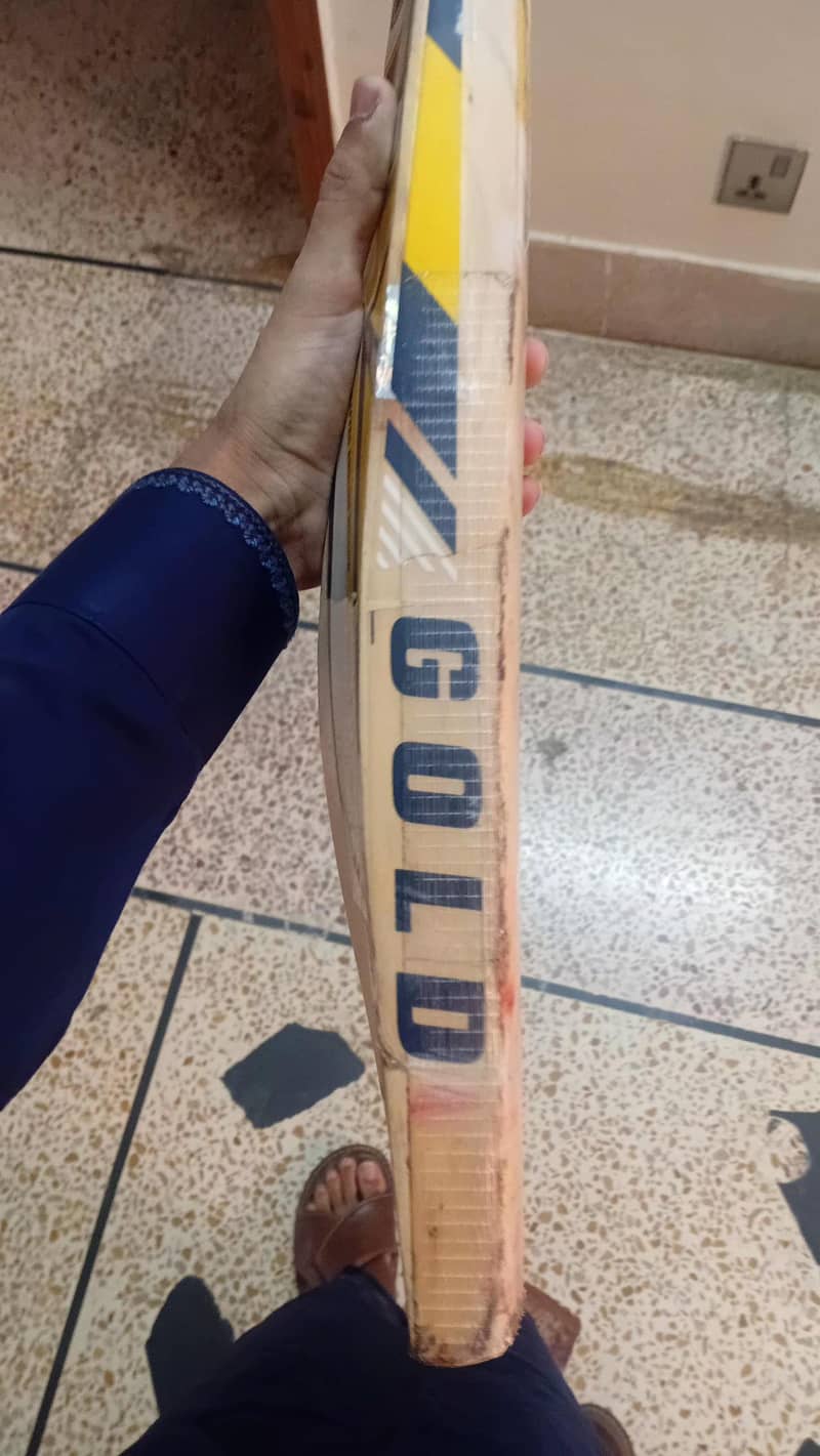 cricket kit used 5