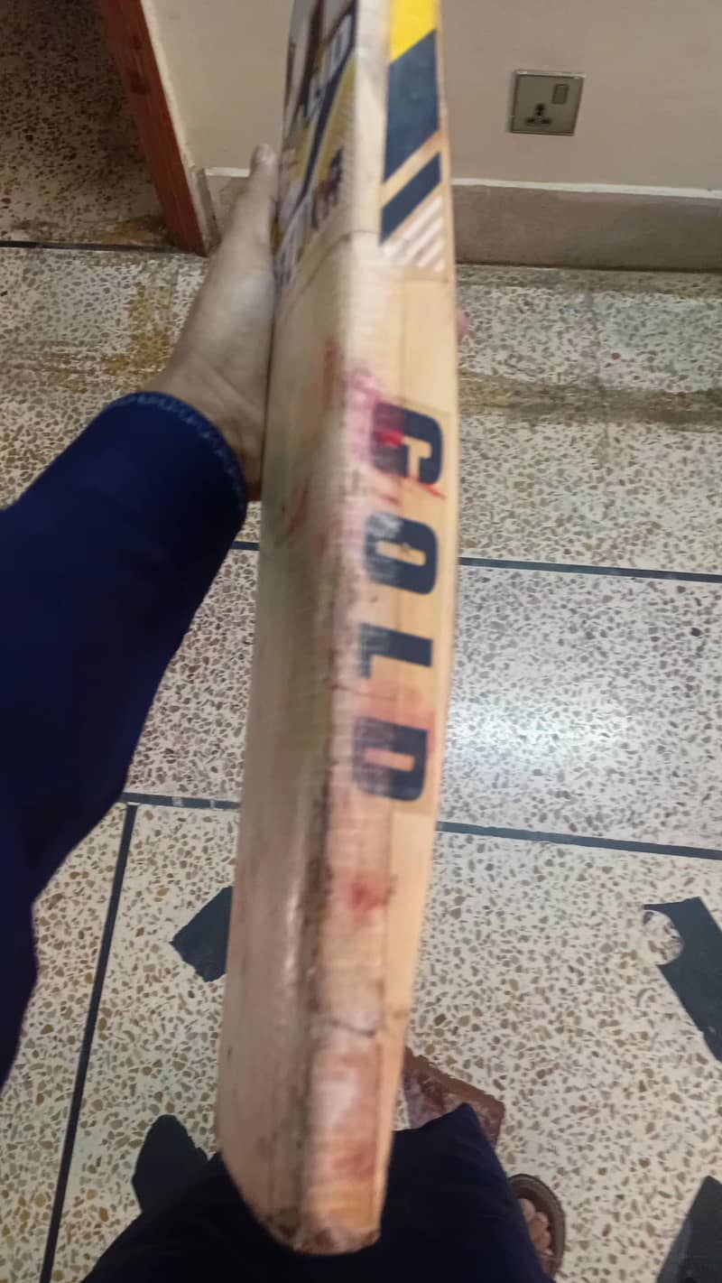 cricket kit used 6
