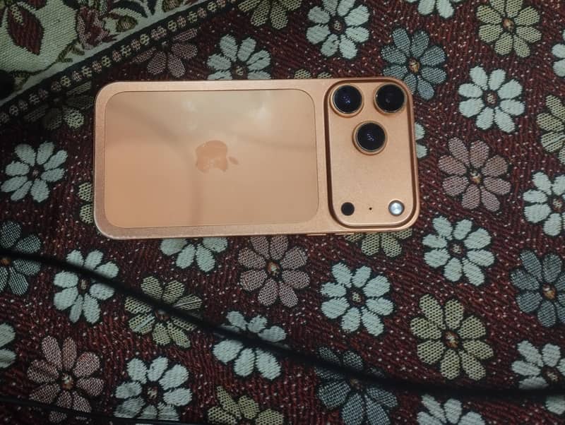 iPhone 11 0