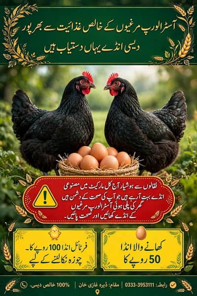 Eggs for sale