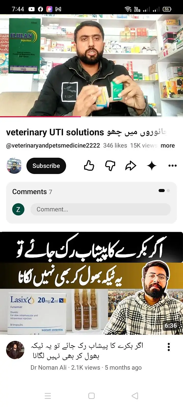 صحت مند اور خوبصورت چھترے برائے فروخت — 12 سے 15 کلو وزن، جوڑی80 ہزار — photo 12