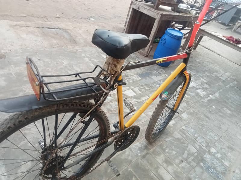 bi cycle 1