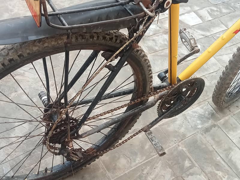 bi cycle 4
