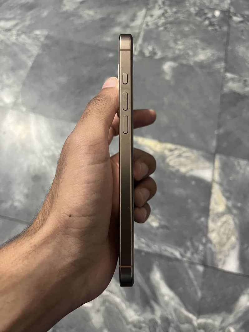 Apple iPhone 16 Pro Max 2