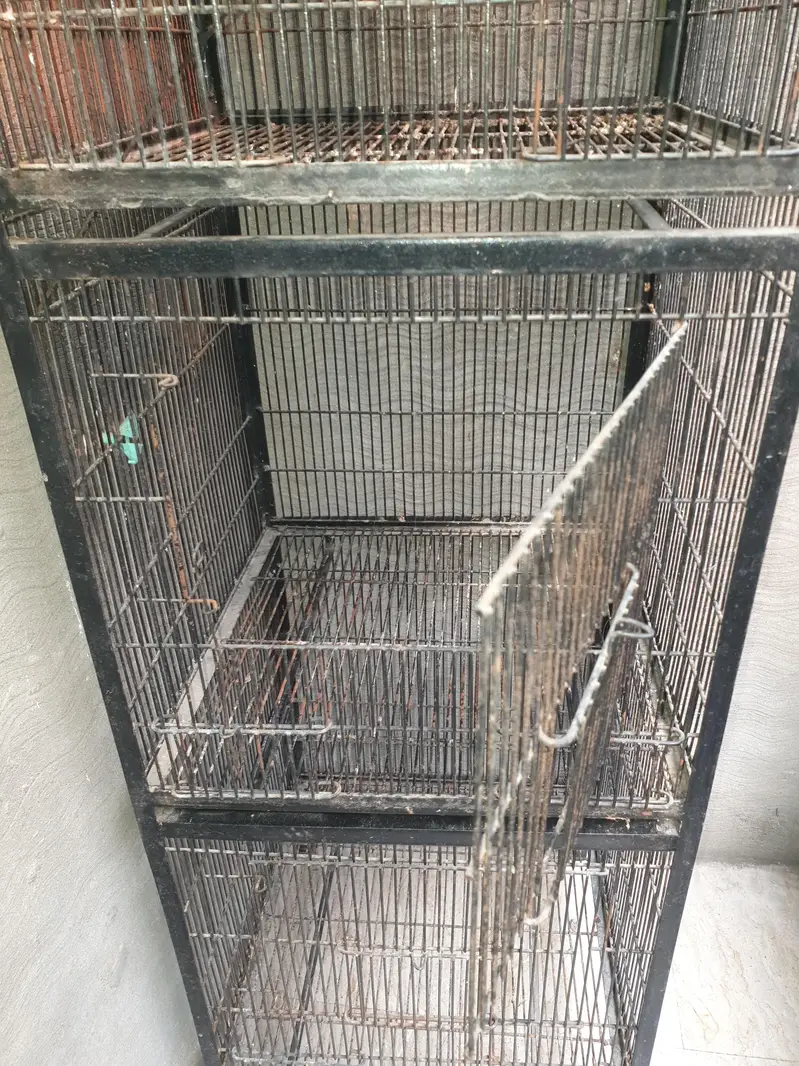 4 in 1 cage for parrots hens cats and other animals — photo 2