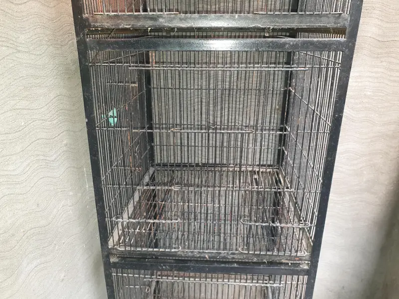 4 in 1 cage for parrots hens cats and other animals — photo 3