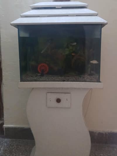 i want to sale my full fish Aquarium in a good condition.