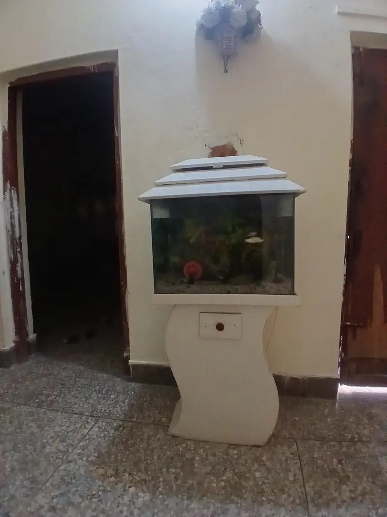 i want to sale my full fish Aquarium in a good condition. — photo 2