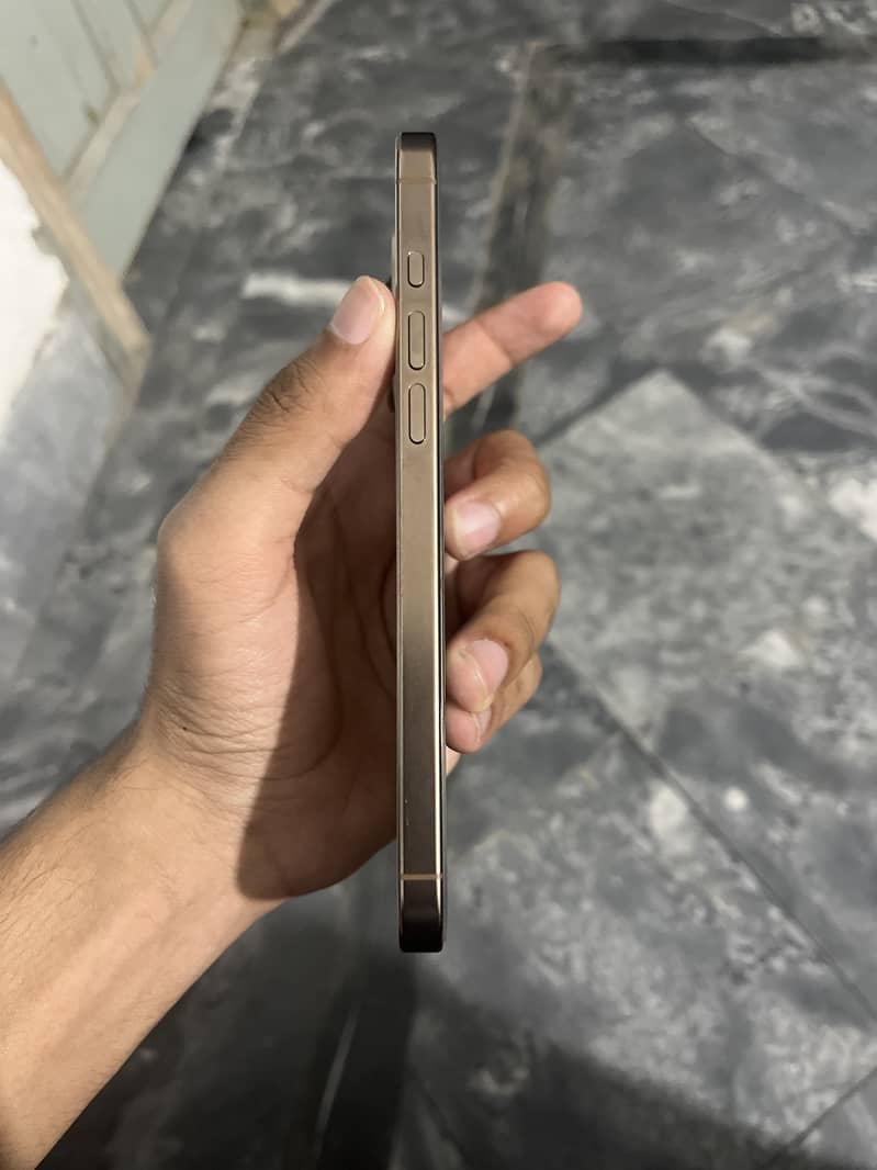 Apple iPhone 16 Pro Max 2