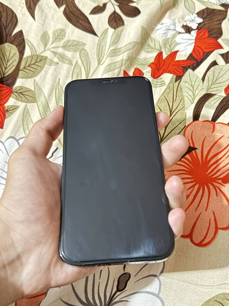 Apple iPhone 12 Pro Max 1