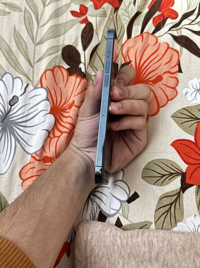 Apple iPhone 12 Pro Max 2