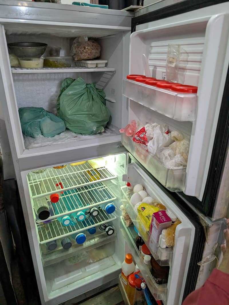 Pel Refrigerator 3