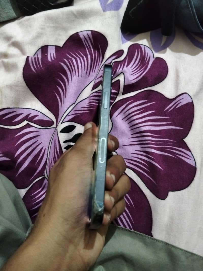 Apple iPhone 12 2