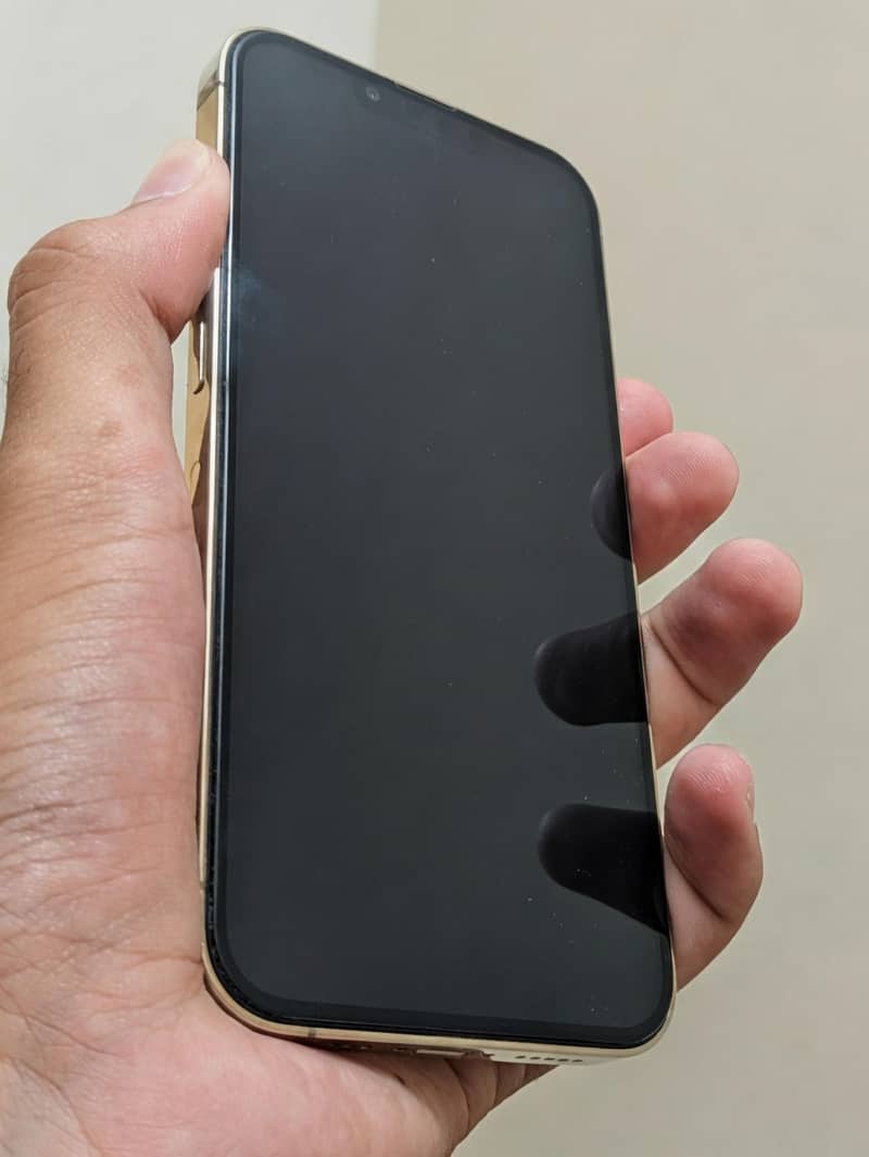 Apple iPhone 13 Pro 1
