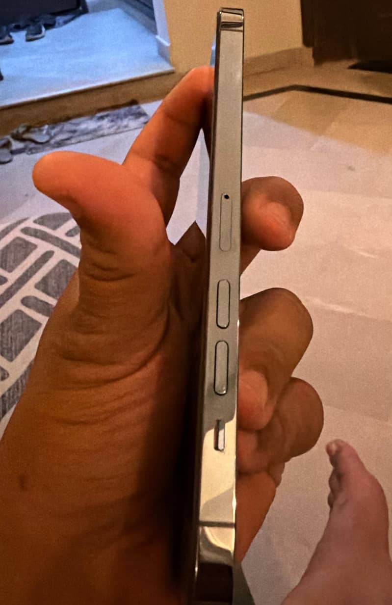 Apple iPhone 13 Pro Max 1