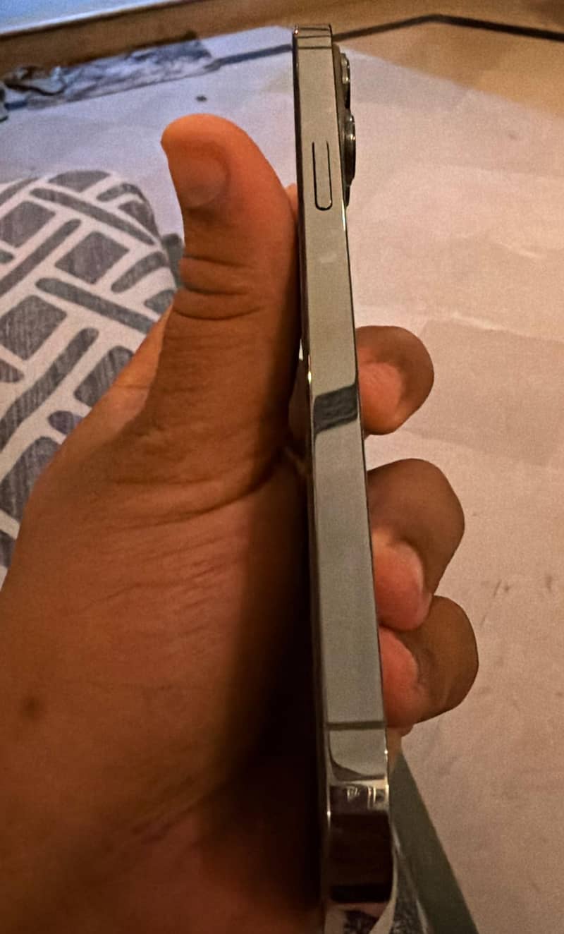Apple iPhone 13 Pro Max 3