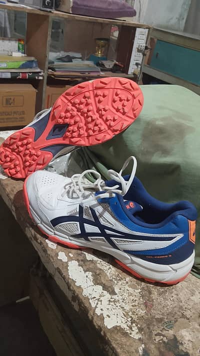 sports shoes