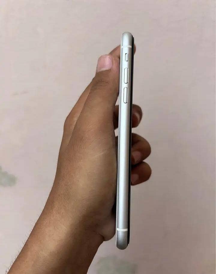Apple iPhone 11 0