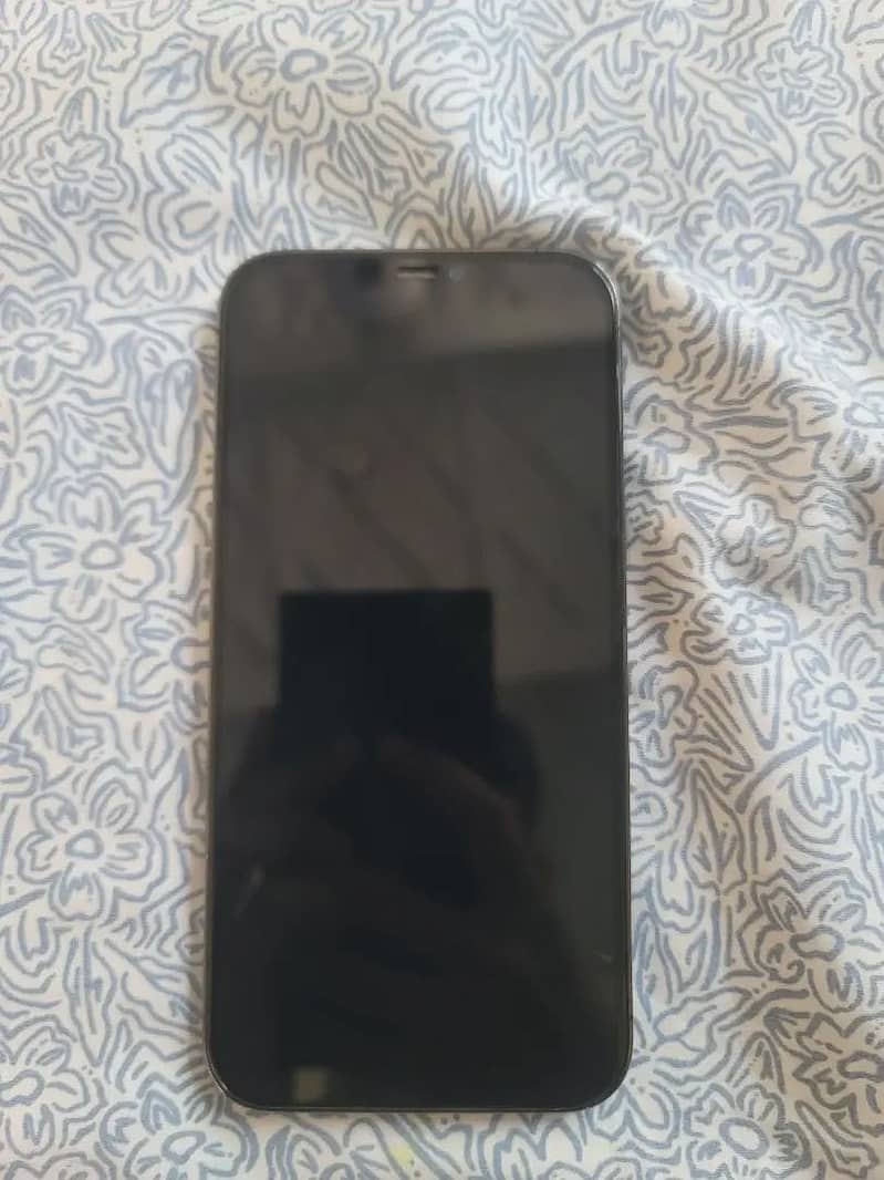 Apple iPhone 12 Pro Max 2