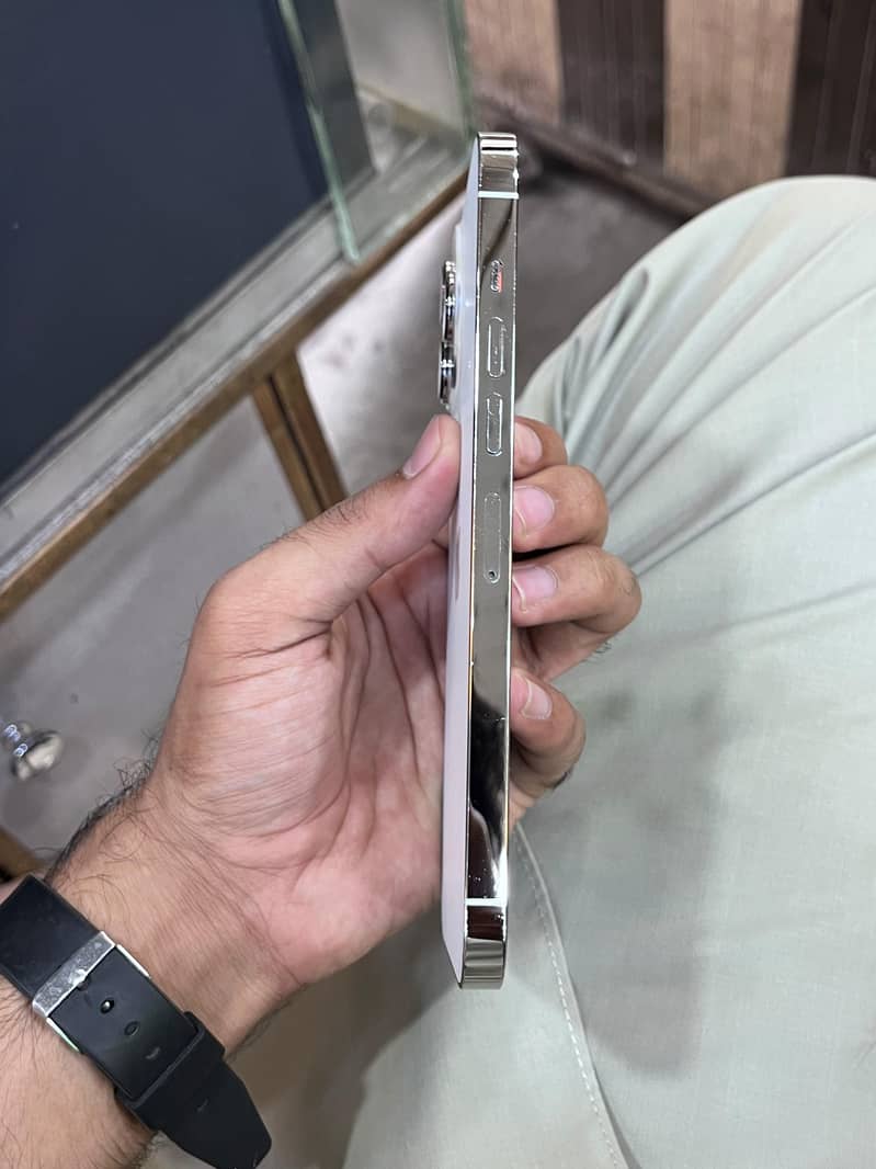 Apple iPhone 13 Pro Max 0