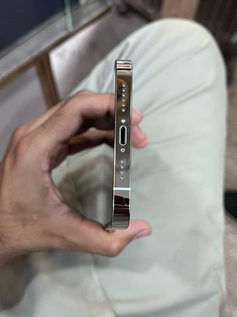 Apple iPhone 13 Pro Max 3