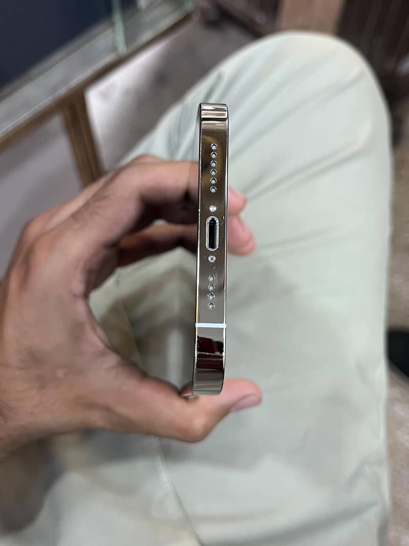 Apple iPhone 13 Pro Max 6