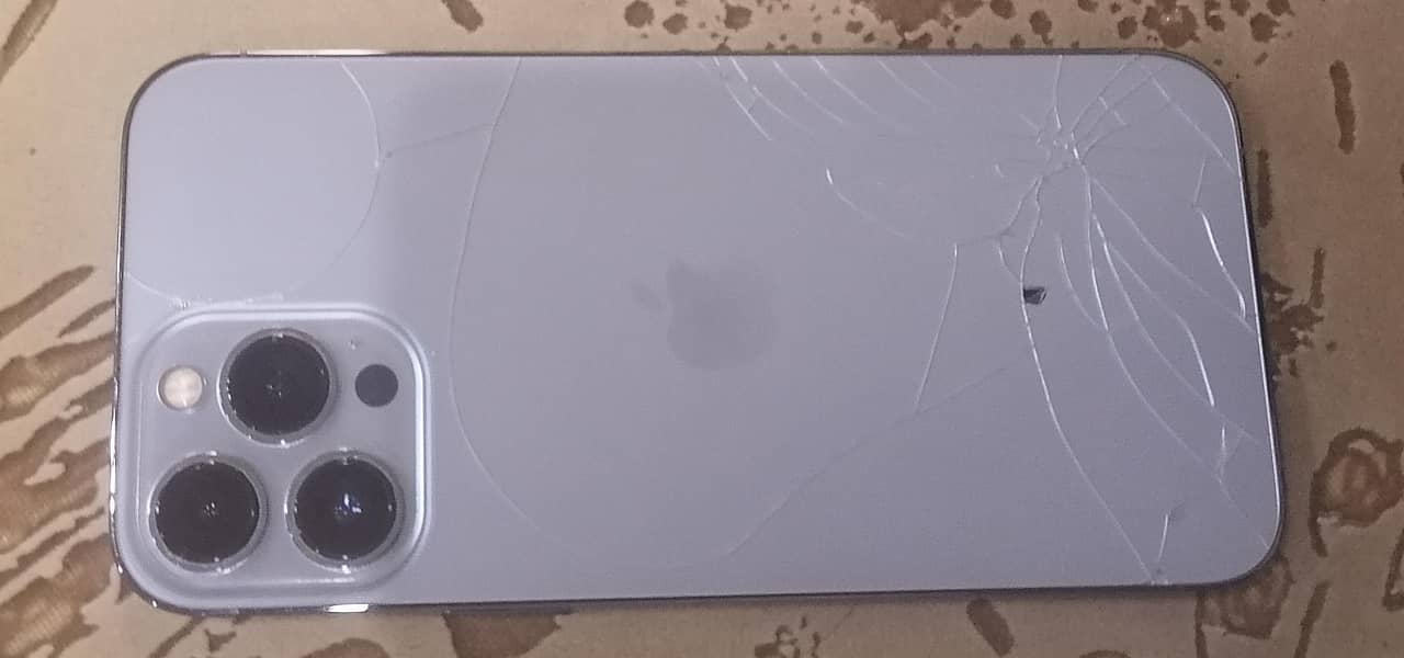 Apple iPhone 13 Pro Max 2