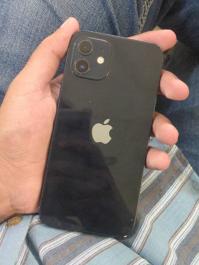 Apple iPhone 12 1