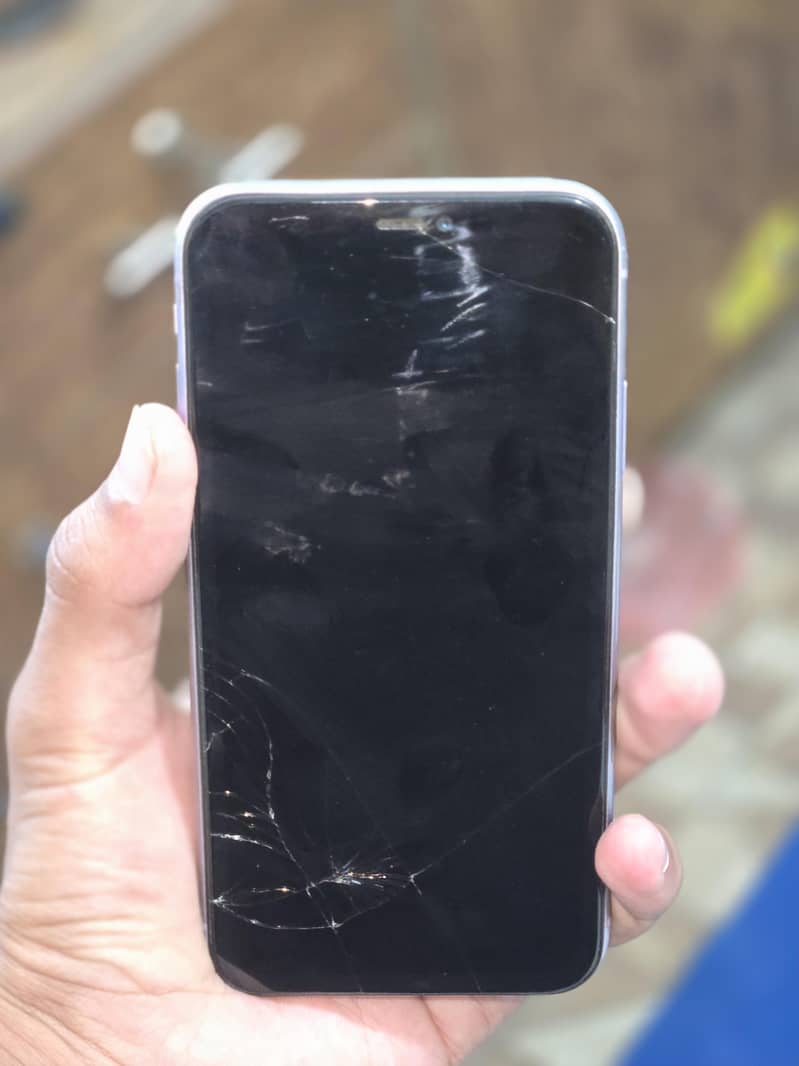 Apple iPhone 11 2
