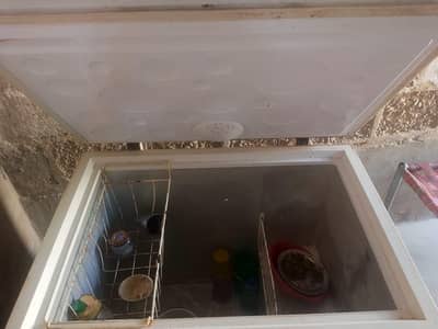Haier D Freezer
