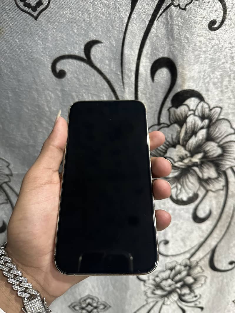 Apple iPhone 13 Pro Max 0