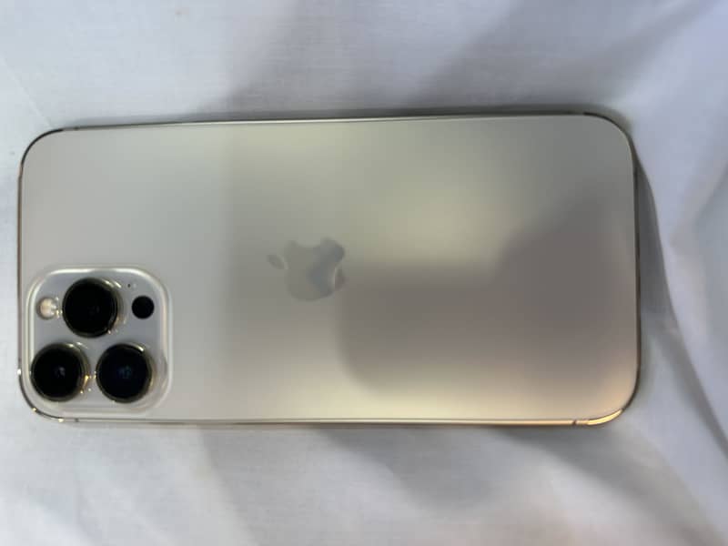 Apple iPhone 13 Pro Max 1