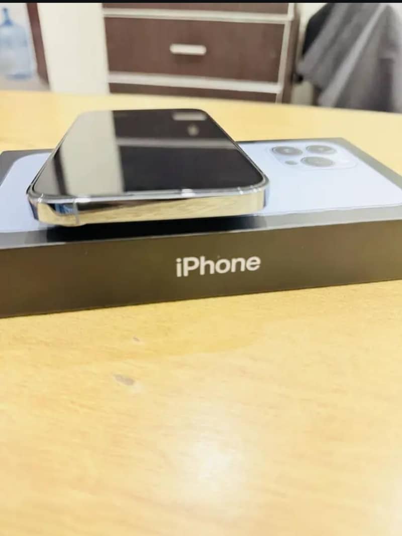 Apple iPhone 13 Pro Max 1
