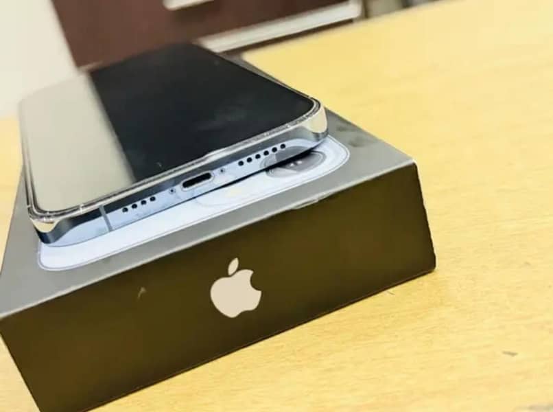 Apple iPhone 13 Pro Max 3