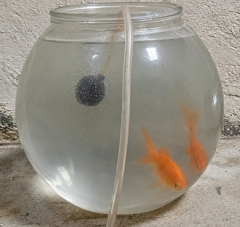 Selling complete aquarium setup with fishes and accessories. — photo 3