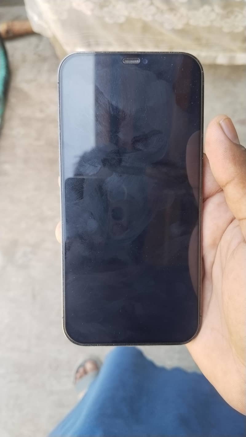 Apple iPhone 12 Pro Max 1