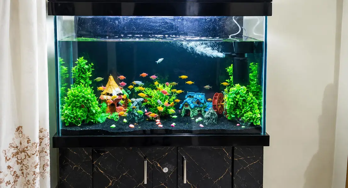 Black Wooden Fish Aquarium With Cabinets