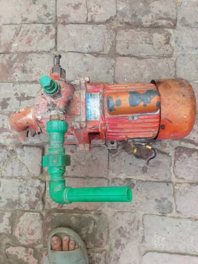 Lal pump segal ampylar