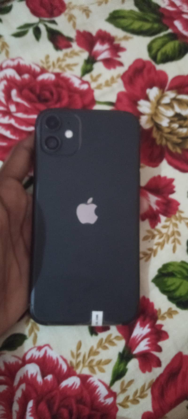Apple iPhone 11 1