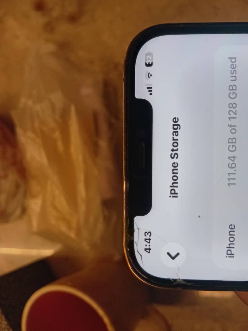 Apple iPhone 12 Pro Max 1