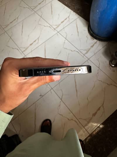 Apple iPhone 13 Pro Max fu