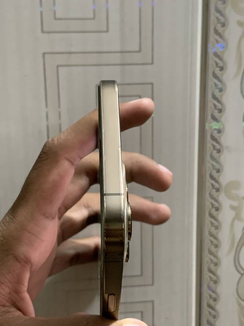 iPhone 12 Pro Max 1