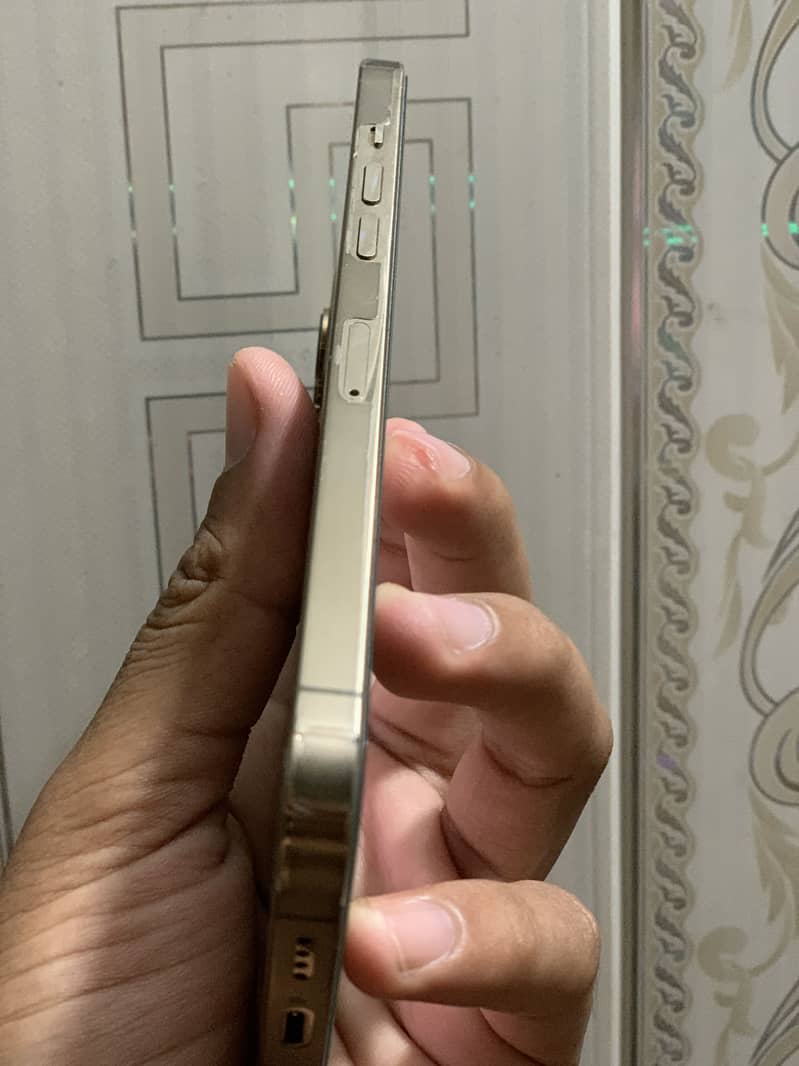 iPhone 12 Pro Max 5