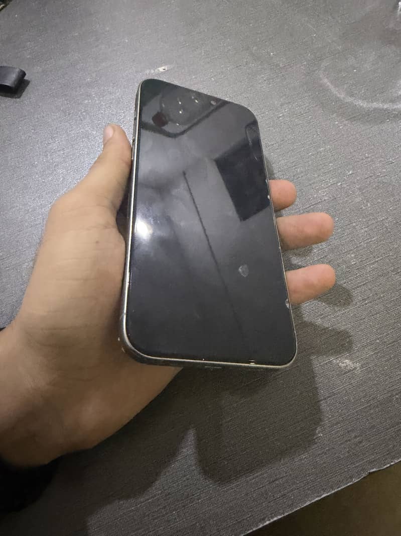 Apple iPhone 15 Pro Max 1