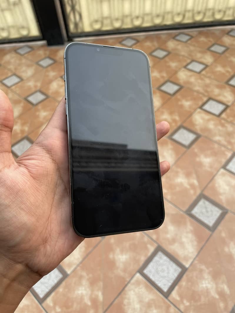 Apple iPhone 13 Pro Max 1