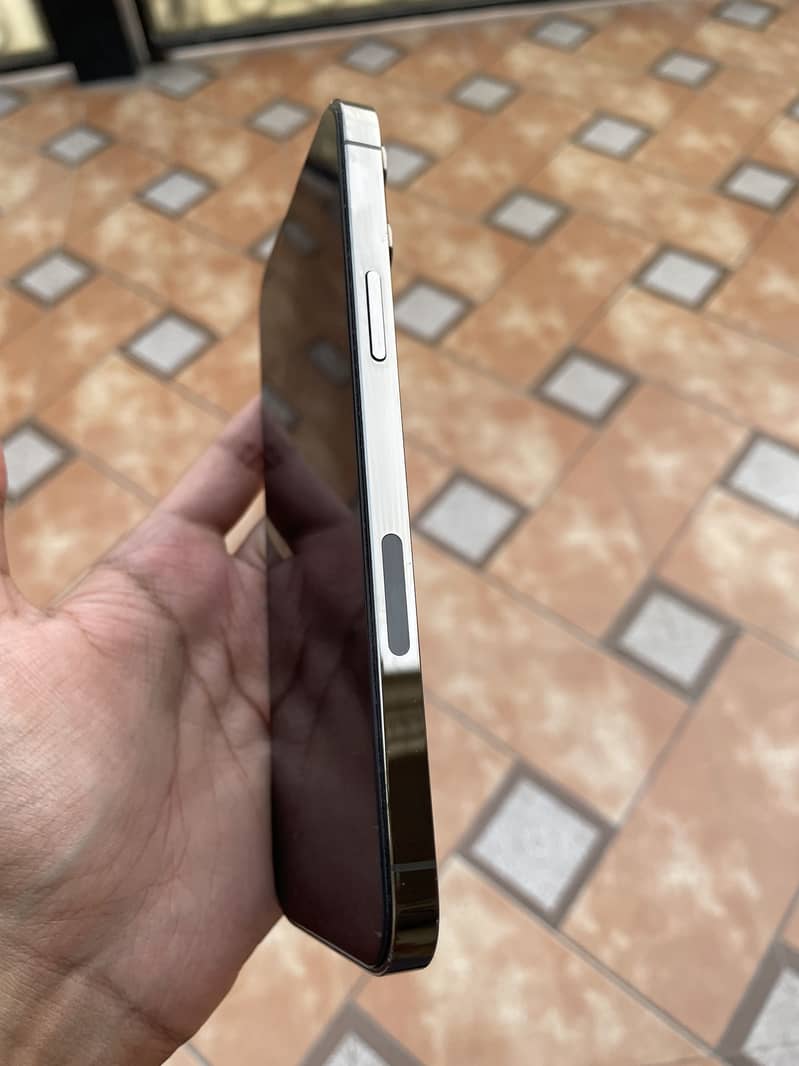 Apple iPhone 13 Pro Max 3