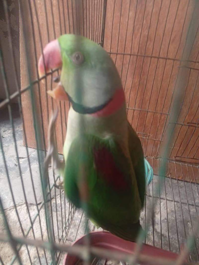beautiful 2