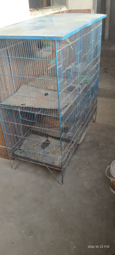 6 homes cage for sale only 6000 with 5 parrot